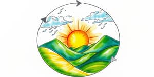 El Ciclo del Mercado: Identificando Tendencias Clave